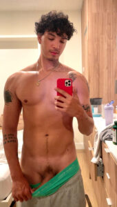 louiestark-cock Louie Stark