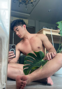 Gone-leaf จะก้อน