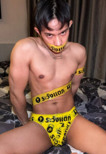 HHemrut-yellow เหม เหมรุต ตันธนไพศาล